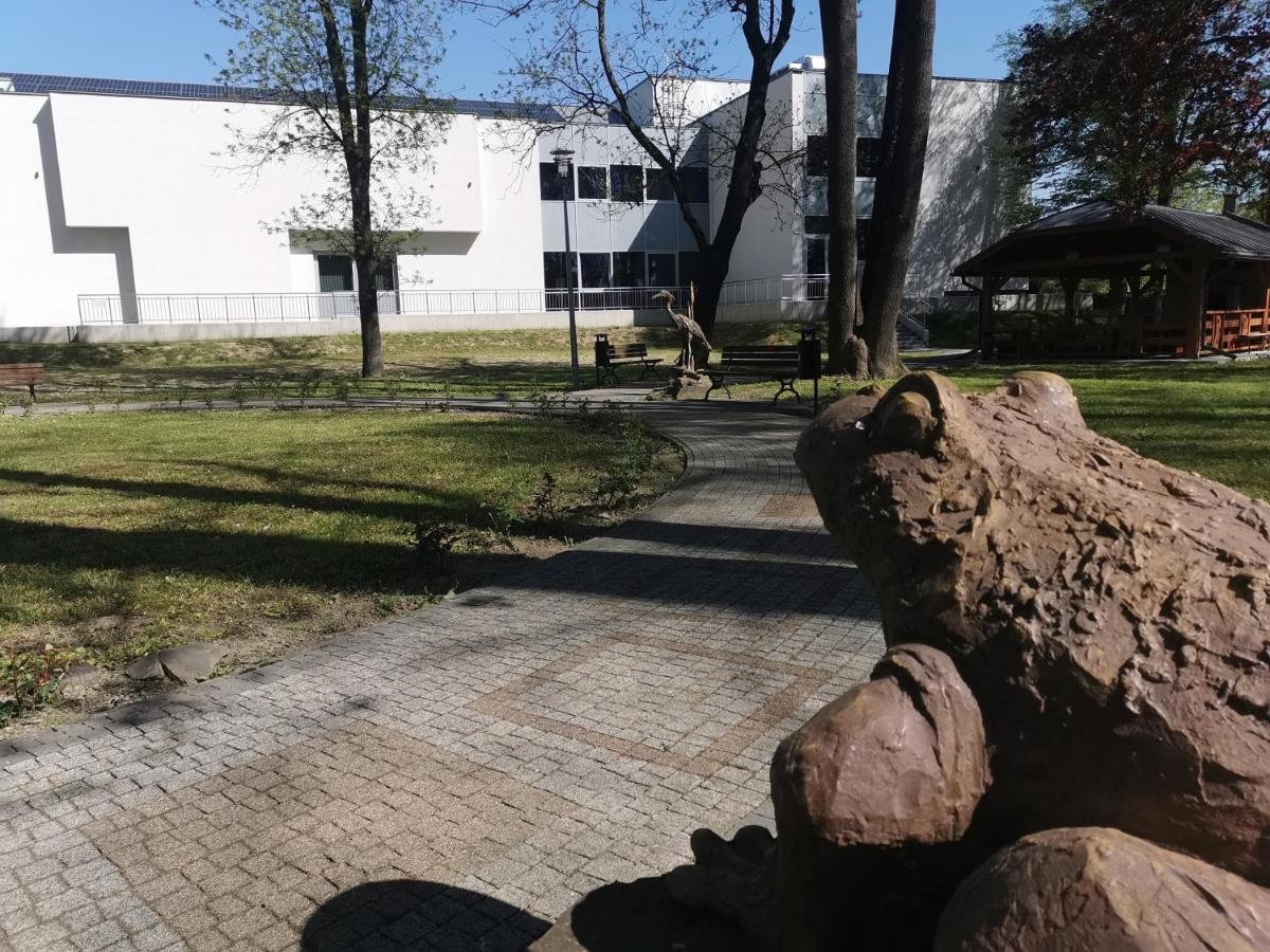Zielony Zakatek Ciezkowice 外观 照片