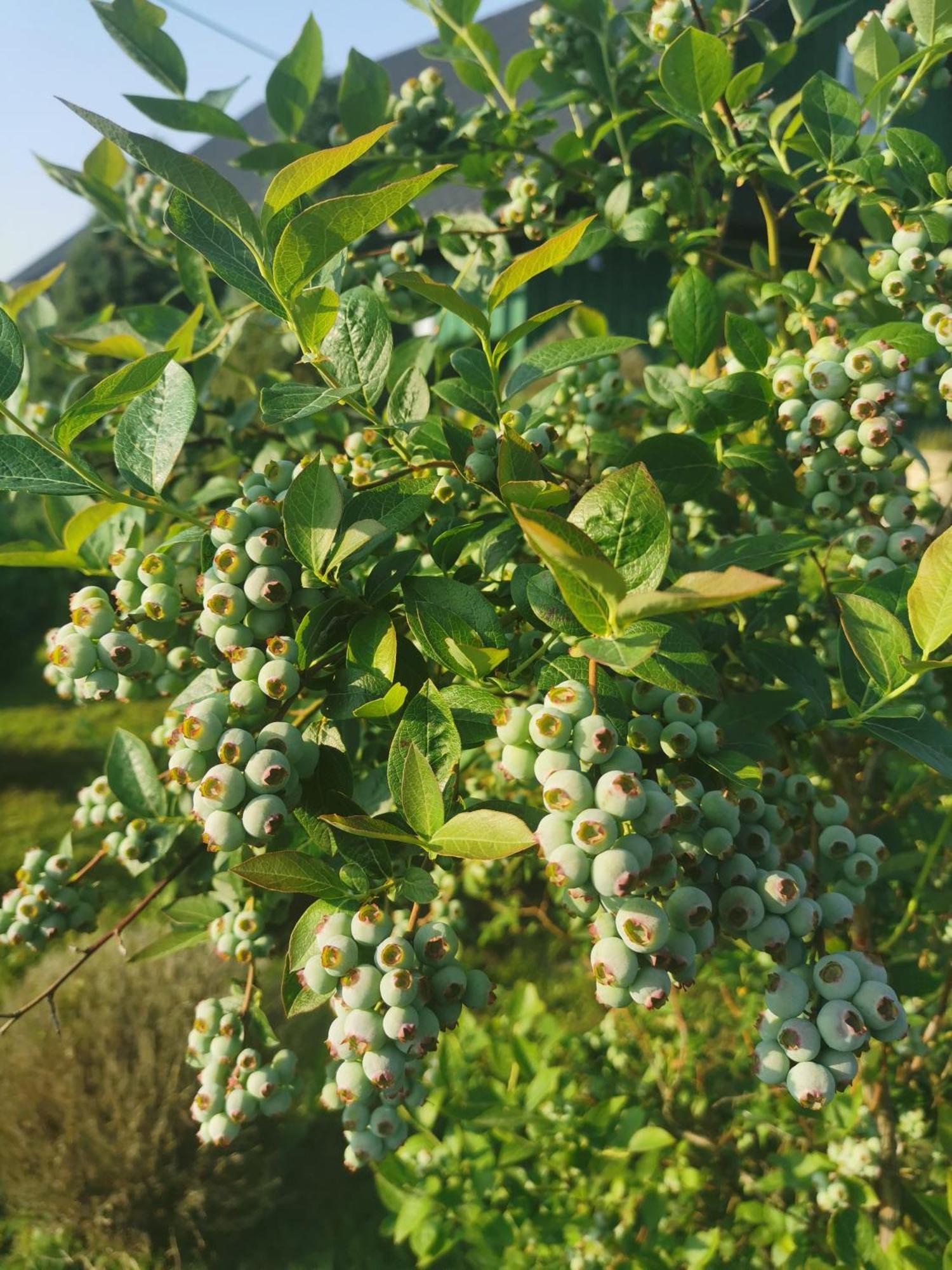 Zielony Zakatek Ciezkowice 外观 照片